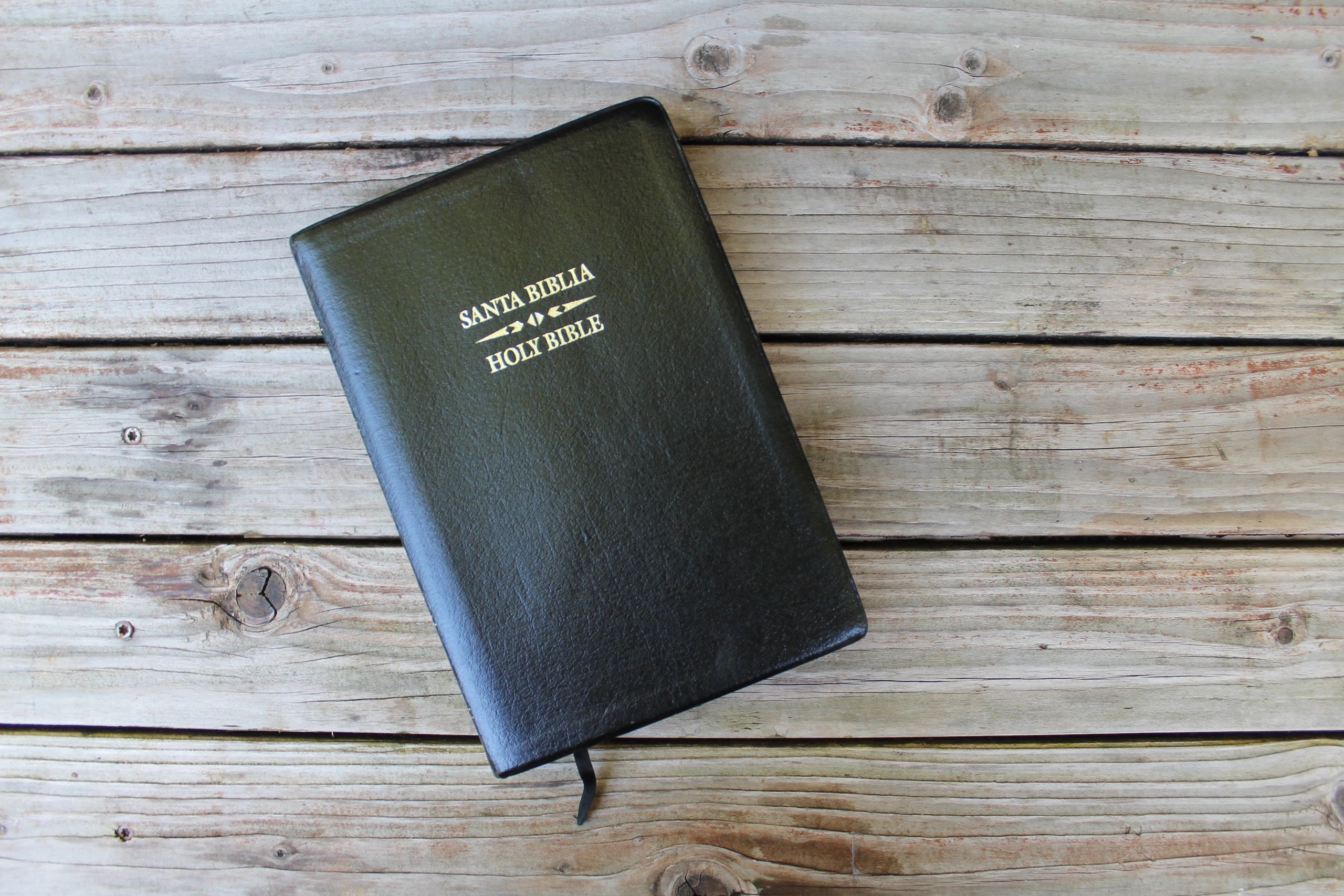 multilingual bible